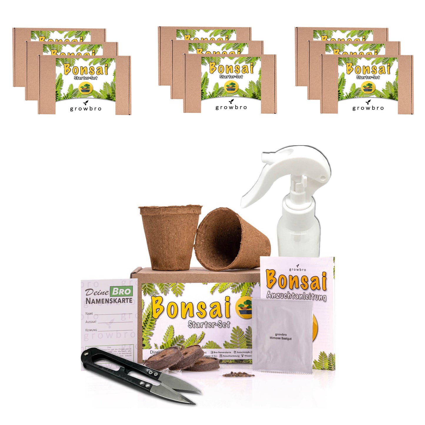 10 X Bonsai - Anzuchtset - Züchte deinen eigenen Bonsai inkl. Achtsamkeitskarten im hochwertigem Starter-Kit - Perfektes Geschenk
