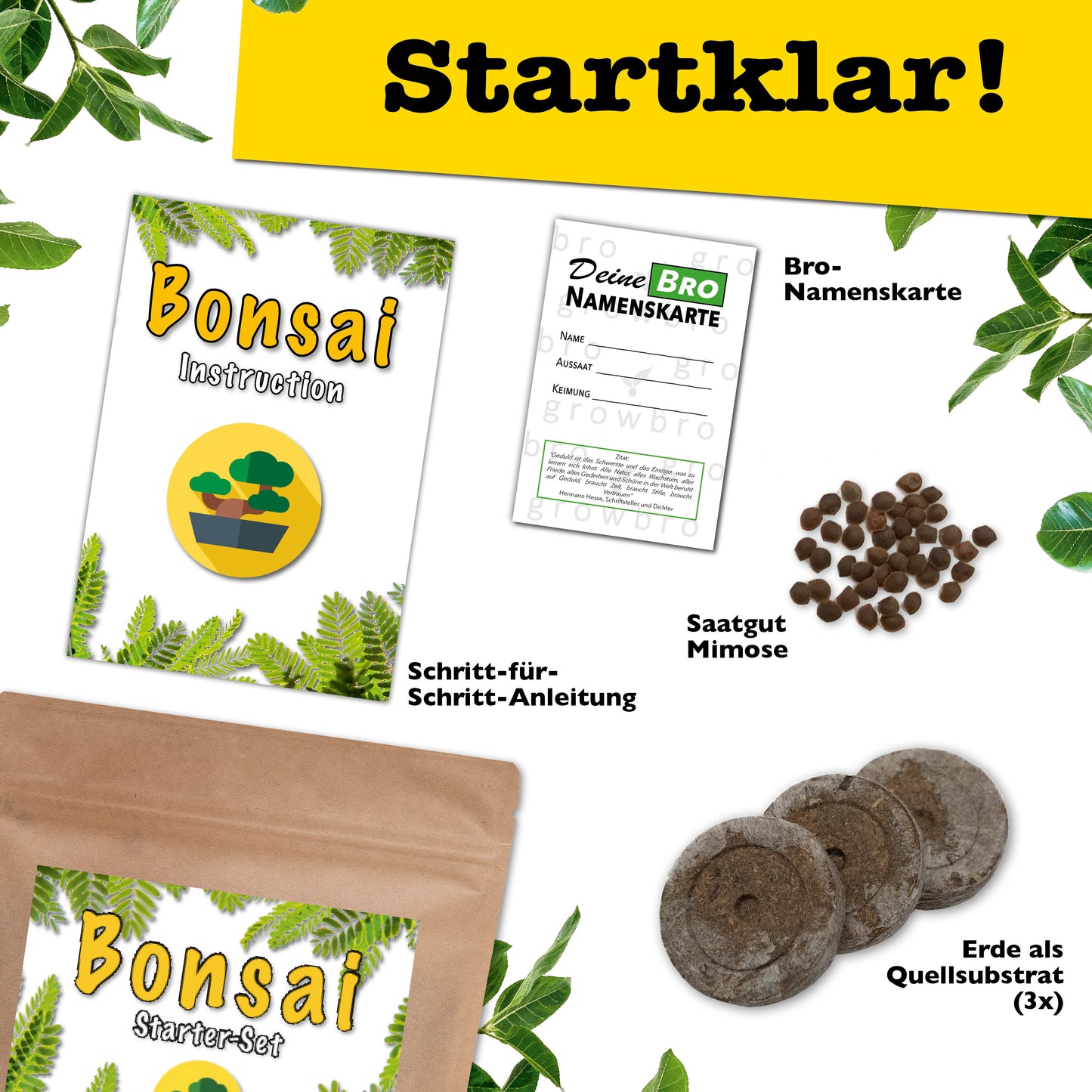 growbro - 2x Bonsai Light Anzuchtset - Züchte deinen neuen BRO # kleines Geschenk # Bonsai Geschenk # Bonsai Samen # TikTok Trend