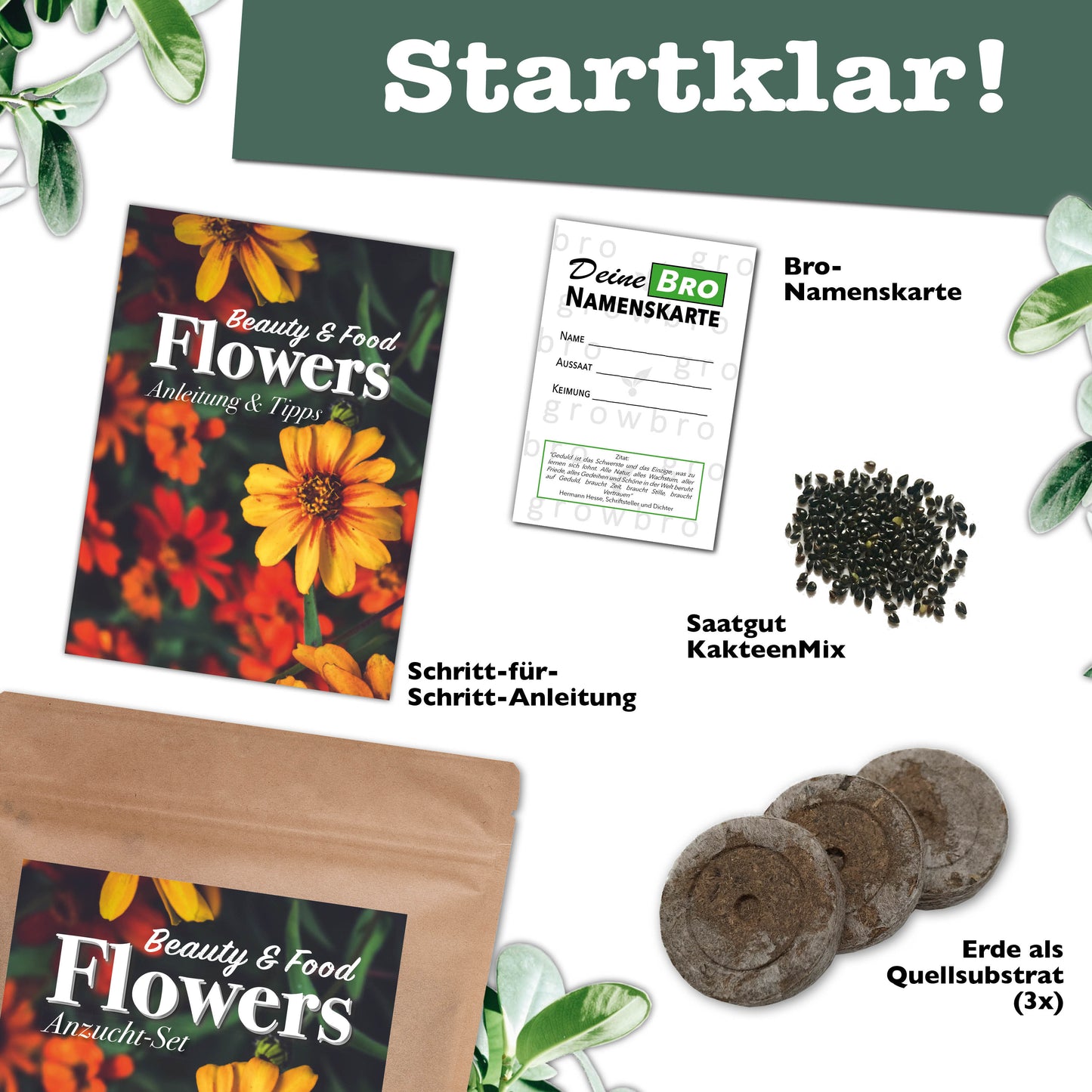 growbro 3 x Flower Power Light - Essbare Blüten Anzucht-Set, Dein Samen Mix für essbare Blumen und als Bienenwiese Saatgut # Blumensamen Geschenk