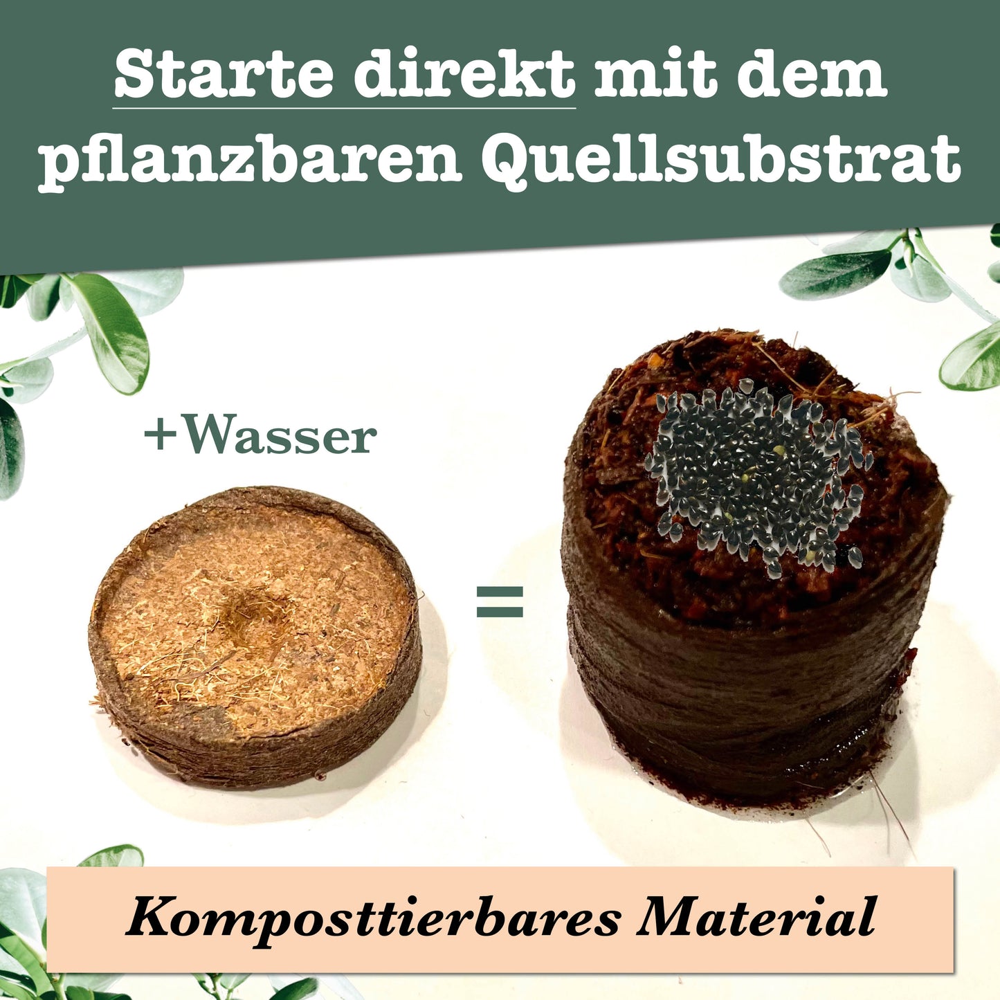 growbro 3 x Flower Power Light - Essbare Blüten Anzucht-Set, Dein Samen Mix für essbare Blumen und als Bienenwiese Saatgut # Blumensamen Geschenk