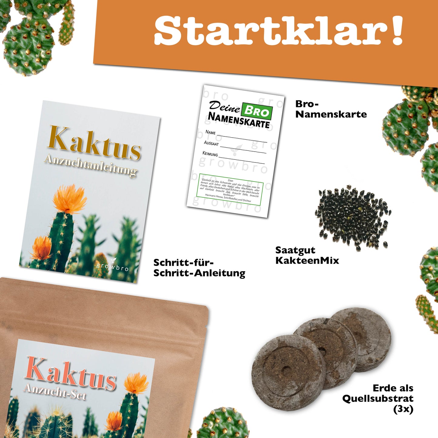 growbro - KAKTUS Guerilla Anzuchtset - Züchte deinen neuen BRO # Kaktus klein # Kaktus Pflanze # Kaktus Samen # Nachhaltige Geschenke