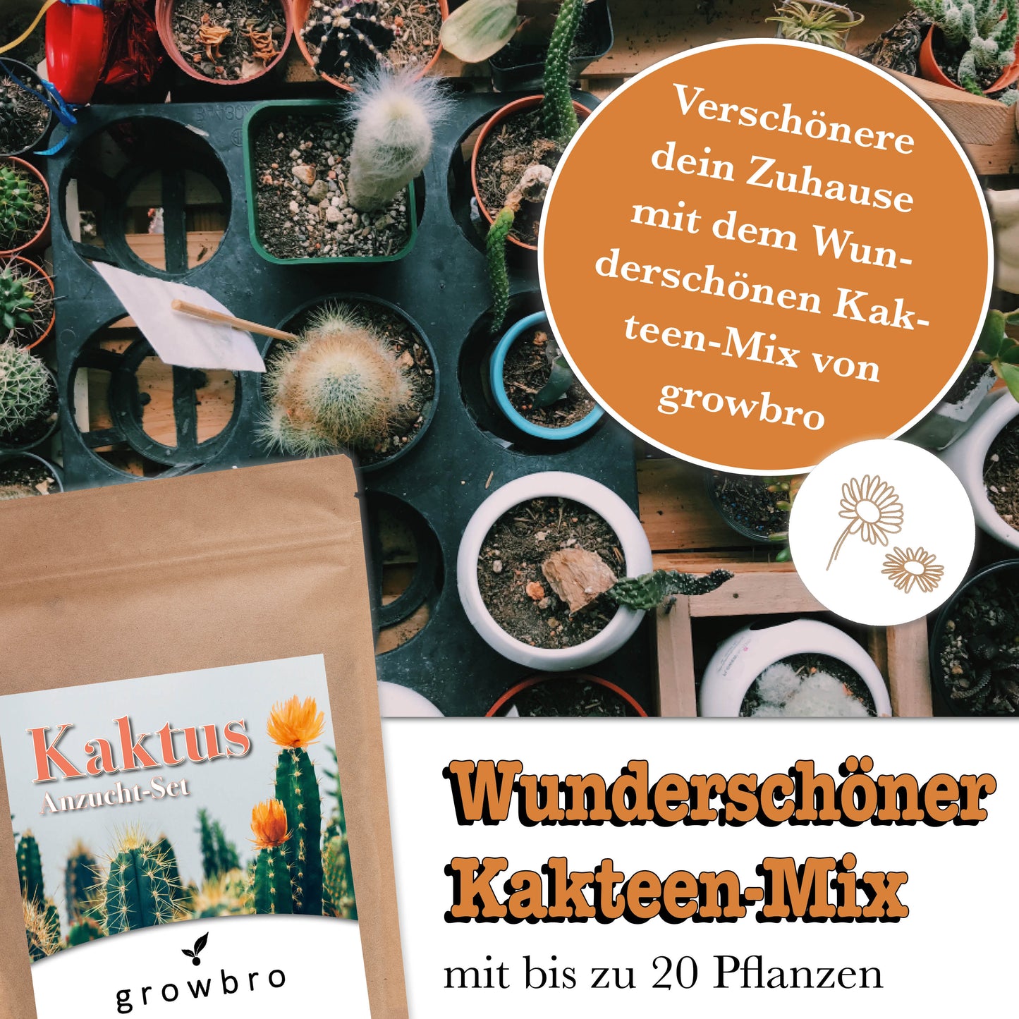 growbro - KAKTUS Guerilla Anzuchtset - Züchte deinen neuen BRO # Kaktus klein # Kaktus Pflanze # Kaktus Samen # Nachhaltige Geschenke