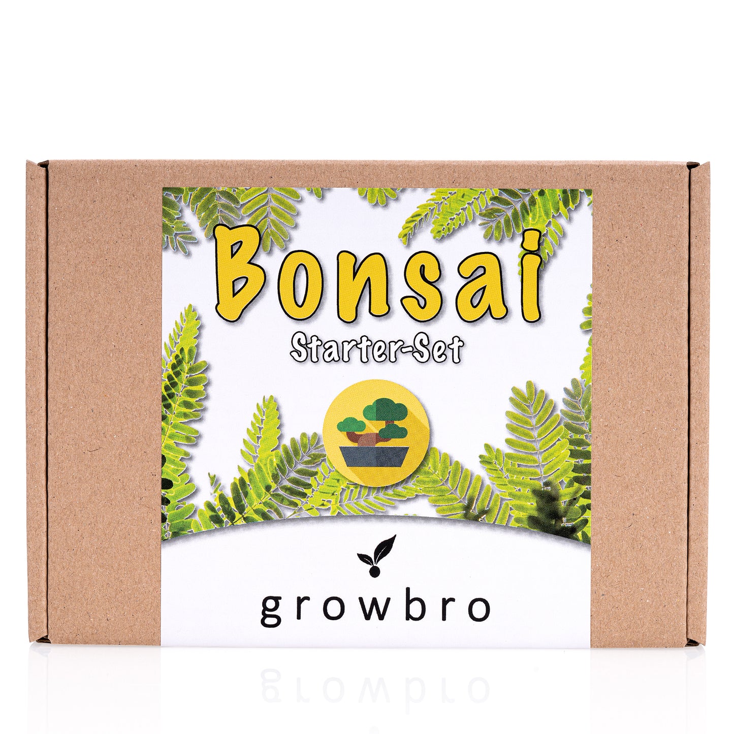 Bonsai Anzuchtset – Dein eigener Bonsai Baum, Geschenkidee für Pflanzenfreunde