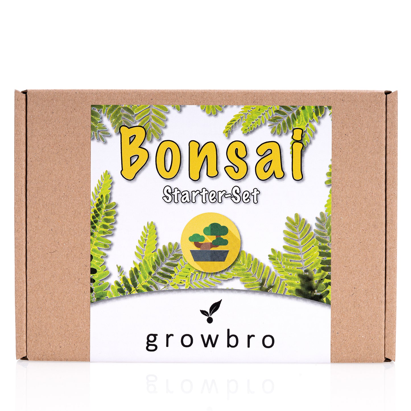 Bonsai – growbro - Wisteria Anzuchtset inkl. Klima-Karten, Züchte deinen eigenen Bonsai-Bro, Geschenke für Frauen und Männer, Bonsai Starter Kit