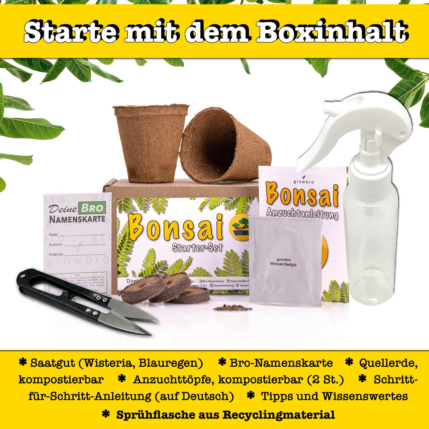 Bonsai – growbro - Wisteria Anzuchtset inkl. Klima-Karten, Züchte deinen eigenen Bonsai-Bro, Geschenke für Frauen und Männer, Bonsai Starter Kit