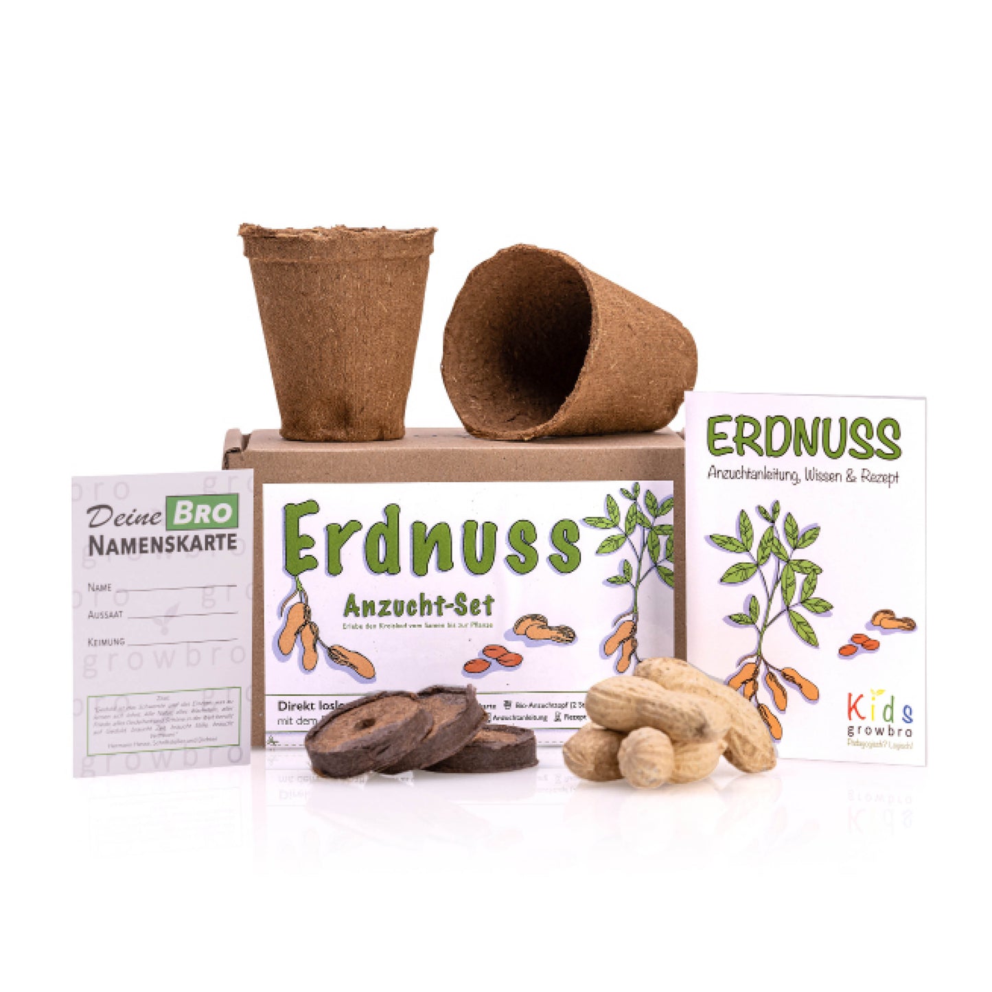 growbro Kids Erdnuss Anzuchtset, Garten Entdecker Set, Forscher Kinder, Geschenk für Kinder, Mitbringsel Kindergeburtstag, Mitbringexperiment