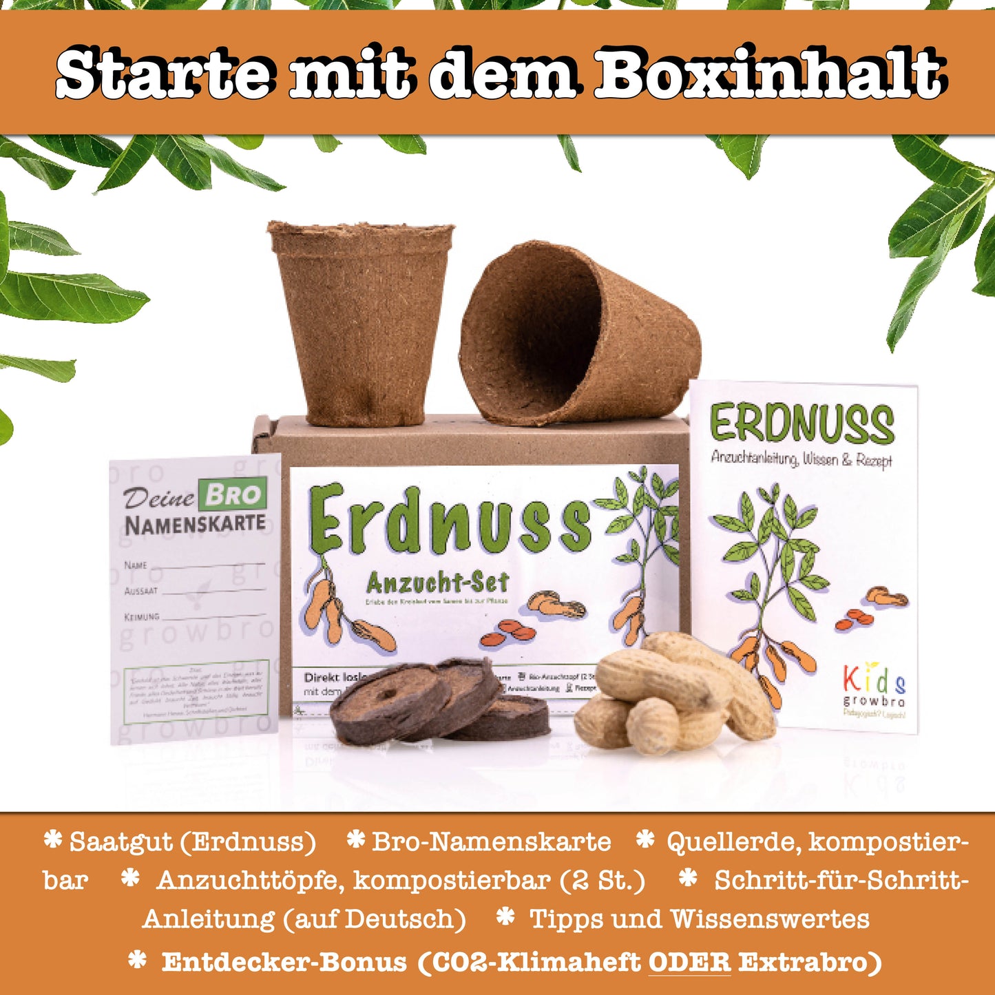 growbro Kids Erdnuss Anzuchtset, Garten Entdecker Set, Forscher Kinder, Geschenk für Kinder, Mitbringsel Kindergeburtstag, Mitbringexperiment