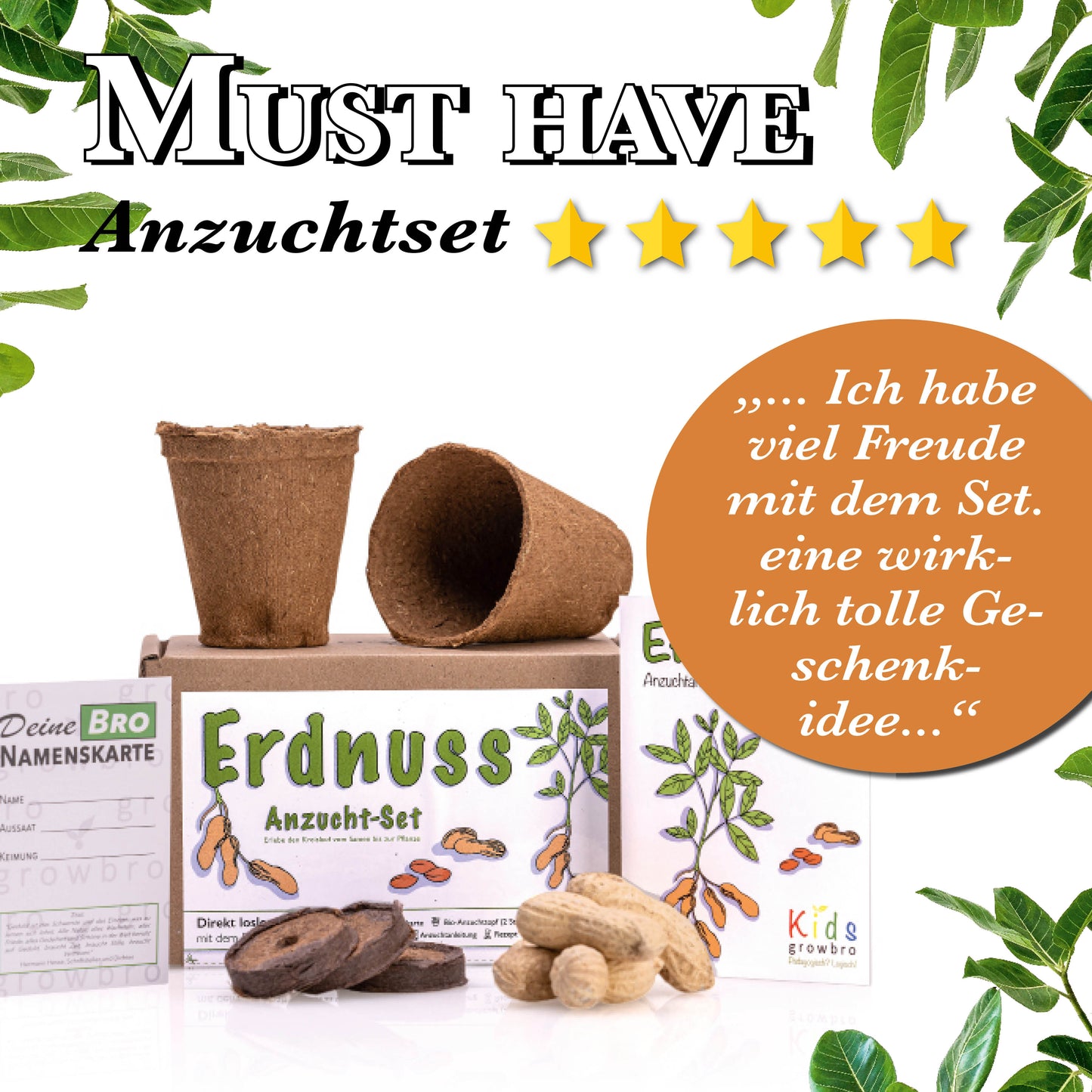 growbro Kids Erdnuss Anzuchtset, Garten Entdecker Set, Forscher Kinder, Geschenk für Kinder, Mitbringsel Kindergeburtstag, Mitbringexperiment