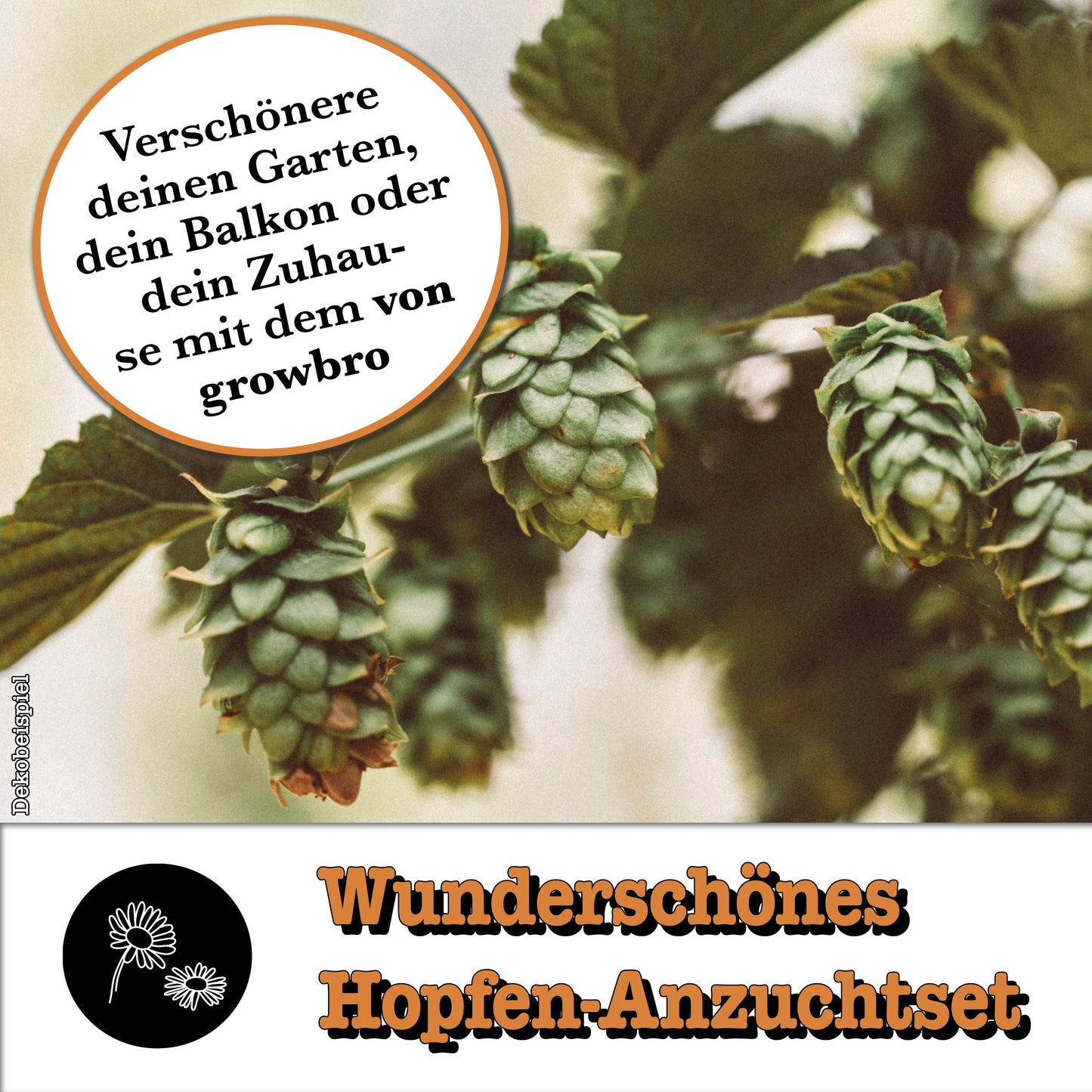 growbro | Hopfen Anzuchtset | Der Weg zu DEINEM EIGENEN BIER | Das Geschenk für Männer, Freunde & Papa # Bier Geschenk für Männer
