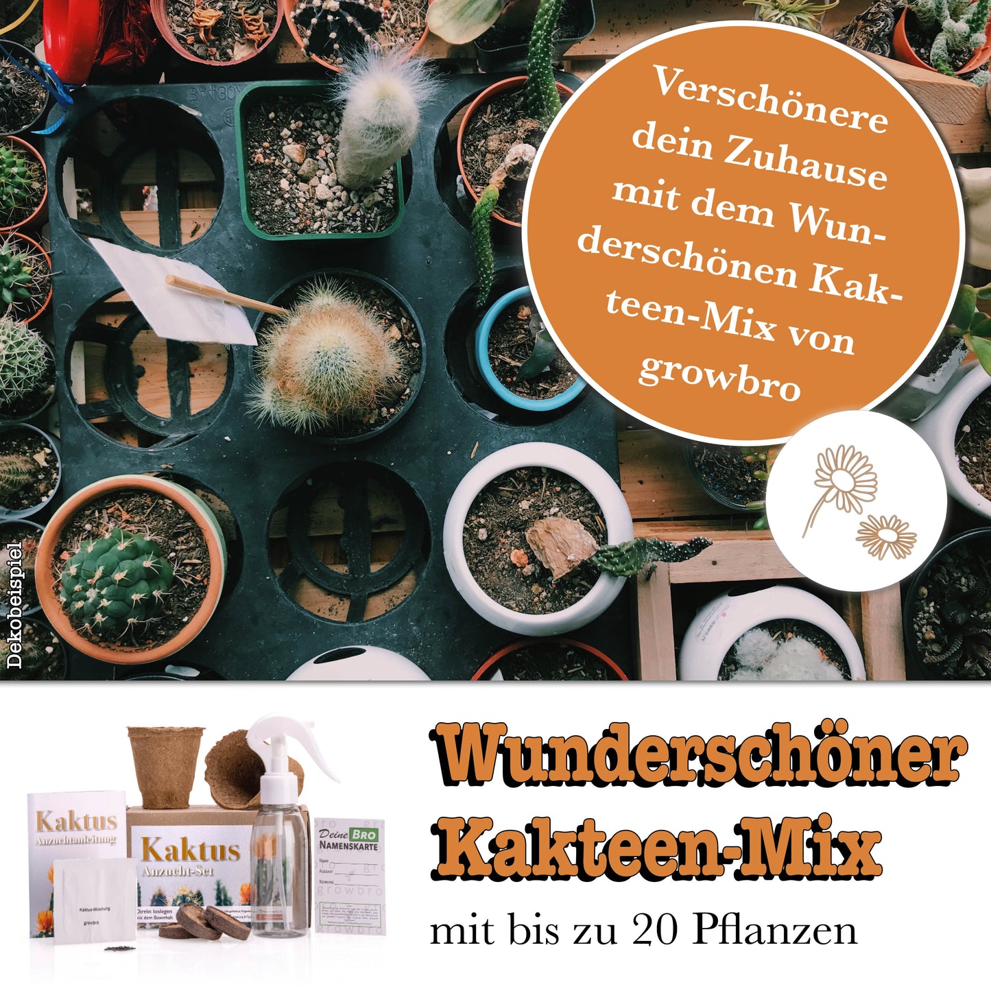 growbro Kaktus Anzuchtset - DIY Geschenkidee für Pflanzenliebhaber - Komplettes Starter Set mit Samen, Erde & Topf | Das grüne Hobby für Zuhause & Büro