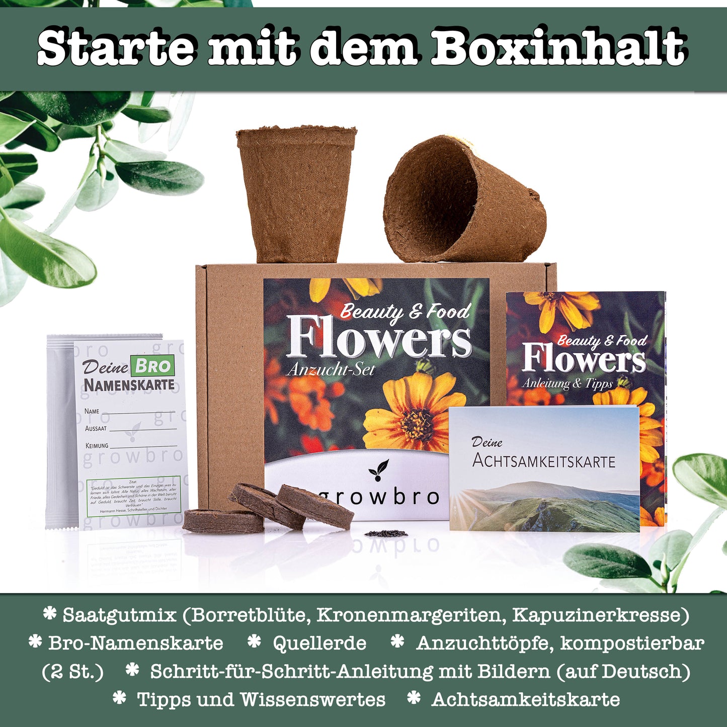 growbro - FLOWER POWER - Essbare Blüten Anzucht-Set, Dein Samen Mix für essbare Blumen und als Bienenwiese Saatgut