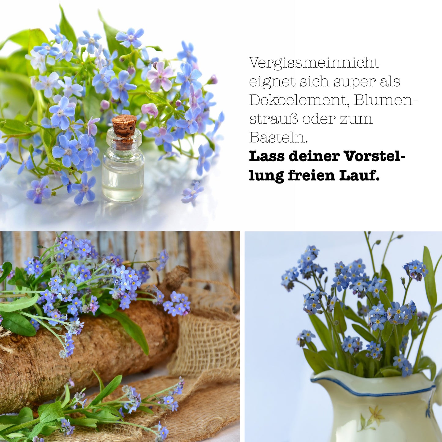 Vergissmeinnicht Anzuchtset growbro – Züchte dein Liebessymbol, Geschenkidee