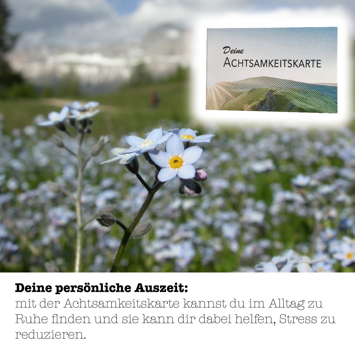 Vergissmeinnicht Anzuchtset growbro – Züchte dein Liebessymbol, Geschenkidee