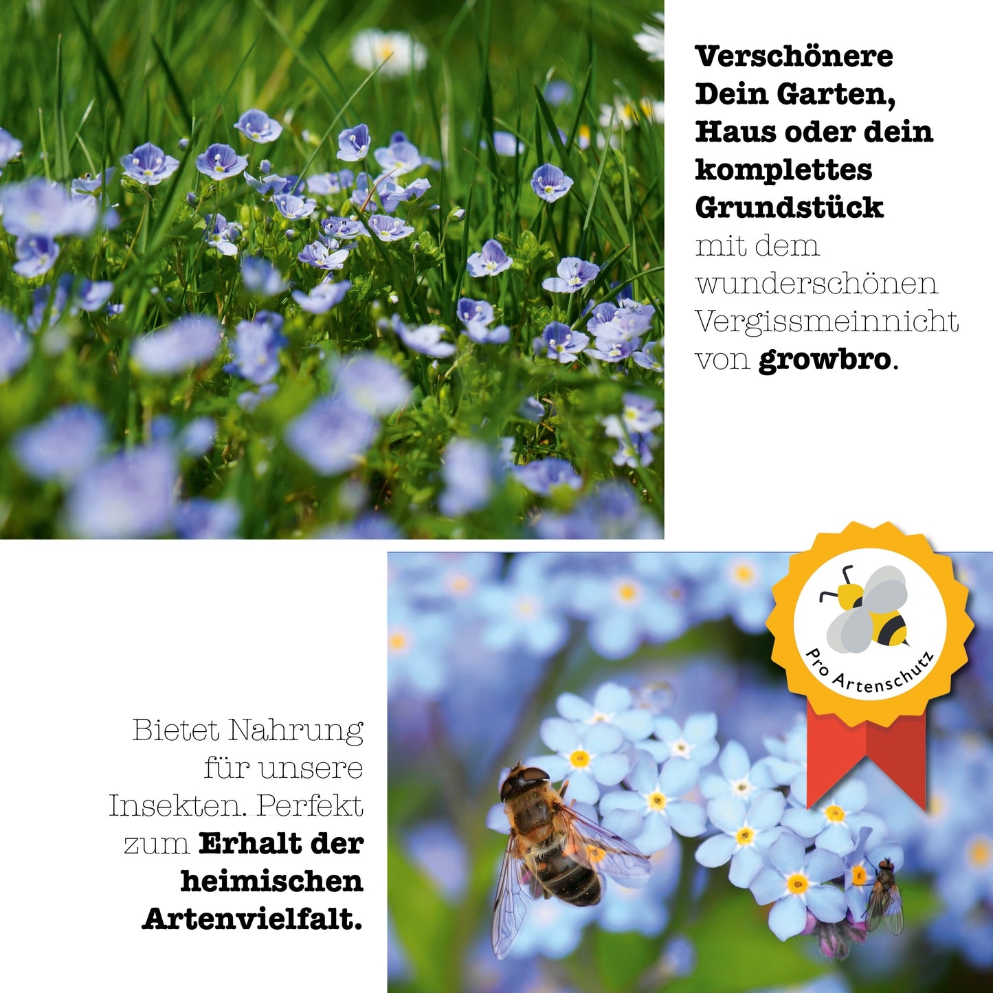 Vergissmeinnicht Anzuchtset growbro – Züchte dein Liebessymbol, Geschenkidee