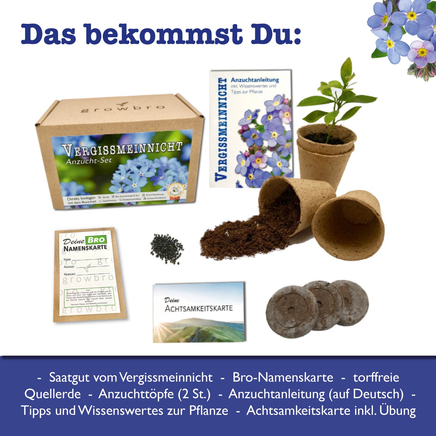 growbro VergissMeinNicht Anzuchtset, Züchte Dein EIGENES LIEBESSYMBOL, Geschenke für Beste Freundin, Geschenkideen für Frauen, UVM.