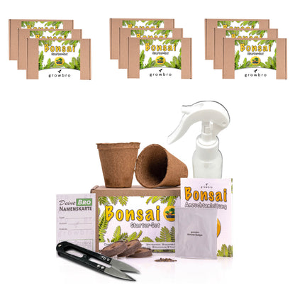 10 X Bonsai - Anzuchtset - Züchte deinen eigenen Bonsai inkl. Achtsamkeitskarten im hochwertigem Starter-Kit - Perfektes Geschenk