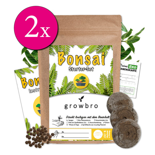 growbro - 2x Bonsai Light Anzuchtset - Züchte deinen neuen BRO # kleines Geschenk # Bonsai Geschenk # Bonsai Samen # TikTok Trend