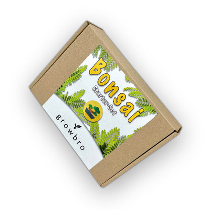 10 X Bonsai - Anzuchtset - Züchte deinen eigenen Bonsai inkl. Achtsamkeitskarten im hochwertigem Starter-Kit - Perfektes Geschenk