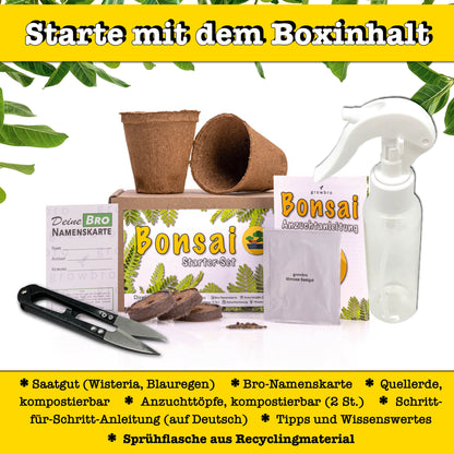 10 X Bonsai - Anzuchtset - Züchte deinen eigenen Bonsai inkl. Achtsamkeitskarten im hochwertigem Starter-Kit - Perfektes Geschenk