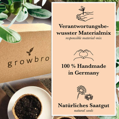 10 X Bonsai - Anzuchtset - Züchte deinen eigenen Bonsai inkl. Achtsamkeitskarten im hochwertigem Starter-Kit - Perfektes Geschenk