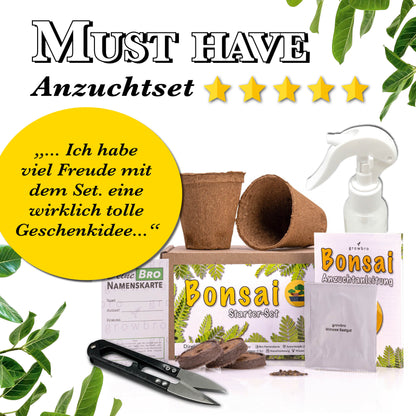 10 X Bonsai - Anzuchtset - Züchte deinen eigenen Bonsai inkl. Achtsamkeitskarten im hochwertigem Starter-Kit - Perfektes Geschenk