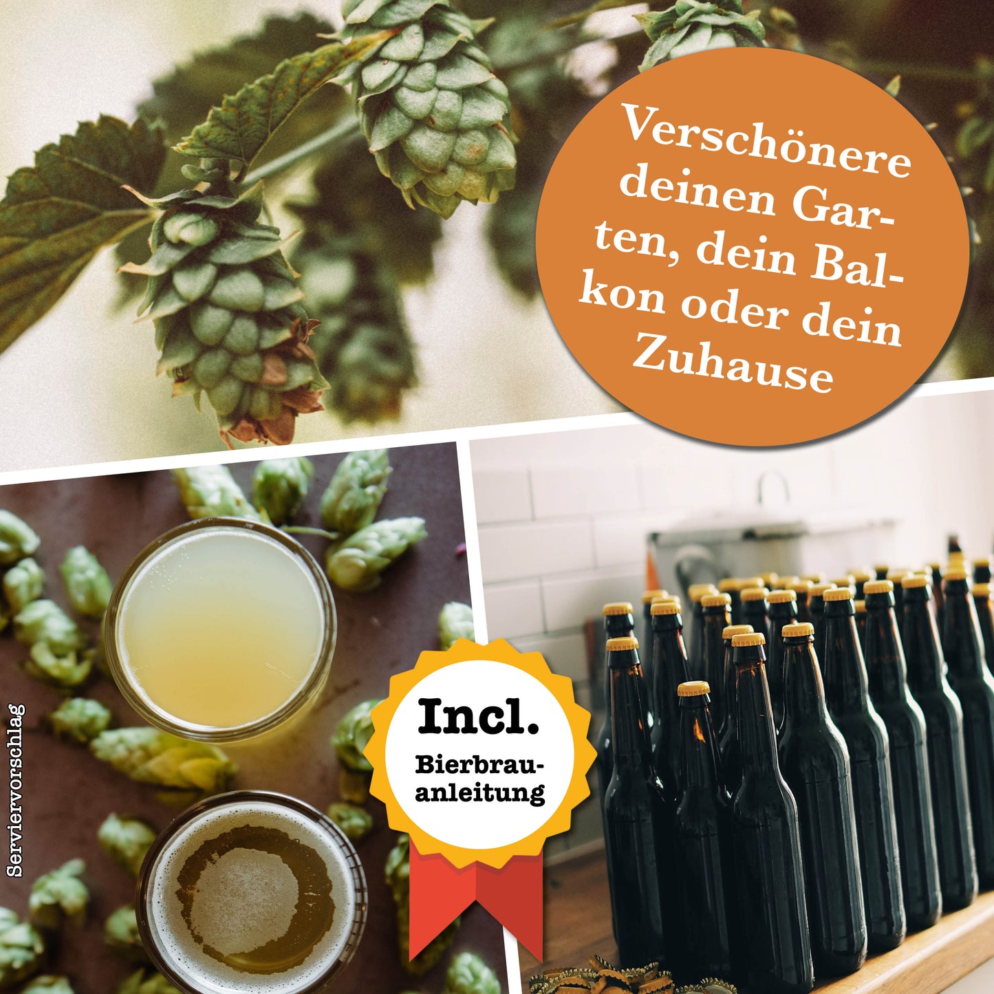 growbro - HOPFEN Guerilla Anzuchtset - Züchte deinen neuen BRO # kleines Geschenk # Männer Geschenk # Hopfen Samen # Nachhaltige Geschenke