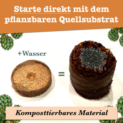 growbro - KAKTUS Guerilla Anzuchtset - Züchte deinen neuen BRO # Kaktus klein # Kaktus Pflanze # Kaktus Samen # Besondere Geschenke