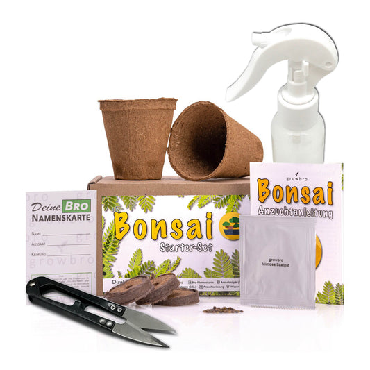 Bonsai – growbro - Wisteria Anzuchtset inkl. Klima-Karten, Züchte deinen eigenen Bonsai-Bro, Geschenke für Frauen und Männer, Bonsai Starter Kit
