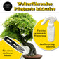 Bonsai – growbro - Wisteria Anzuchtset inkl. Klima-Karten, Züchte deinen eigenen Bonsai-Bro, Geschenke für Frauen und Männer, Bonsai Starter Kit