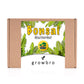 Bonsai - growbro - Wisteria Grow Kit - GROW YOUR OWN BONSAI BRO, gifts for women and men, Bonsai Starter Kit incl. seeds, spray bottle, and much more