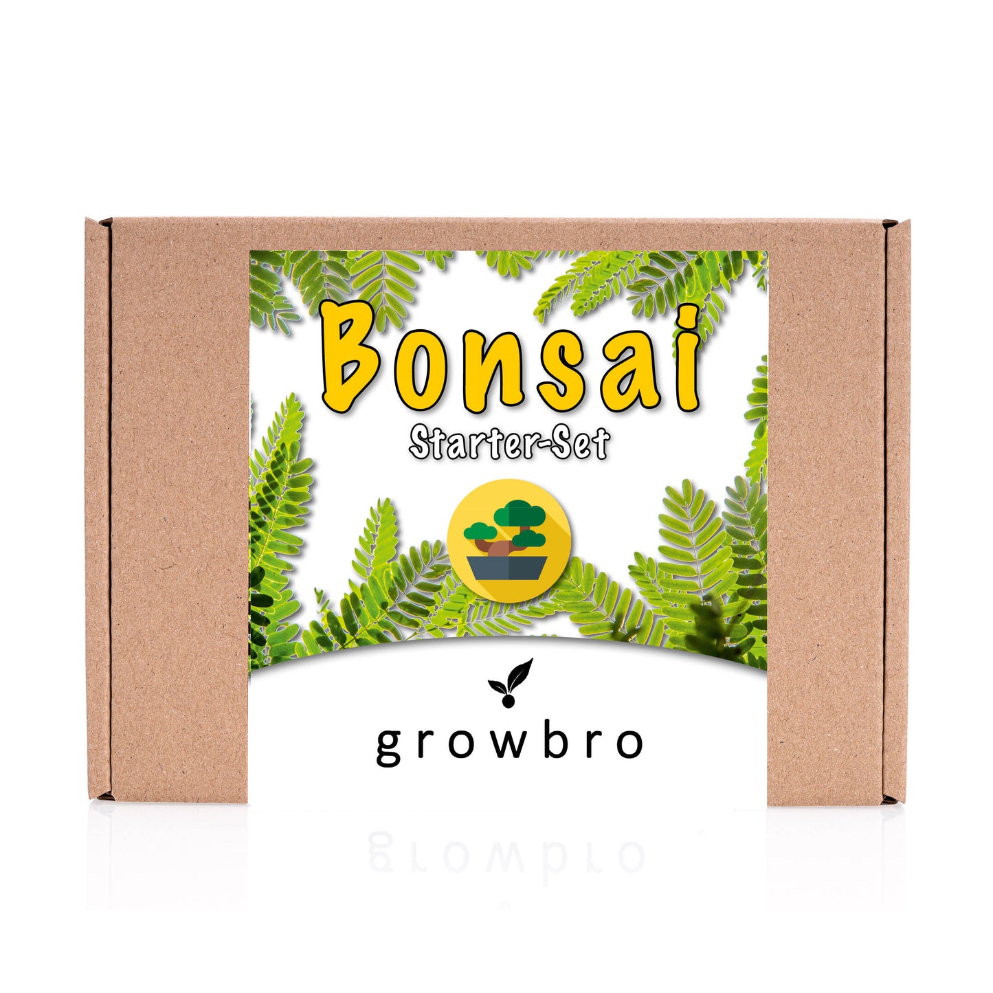 Bonsai - growbro - Wisteria Grow Kit - GROW YOUR OWN BONSAI BRO, gifts for women and men, Bonsai Starter Kit incl. seeds, spray bottle, and much more