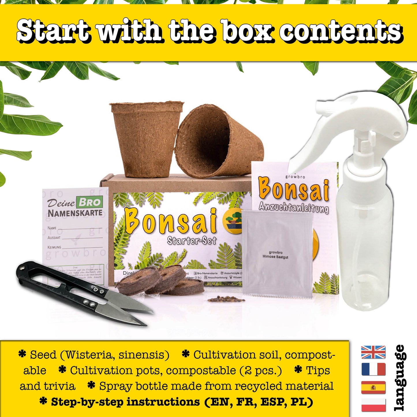 Bonsai - growbro - Wisteria Grow Kit - GROW YOUR OWN BONSAI BRO, gifts for women and men, Bonsai Starter Kit incl. seeds, spray bottle, and much more