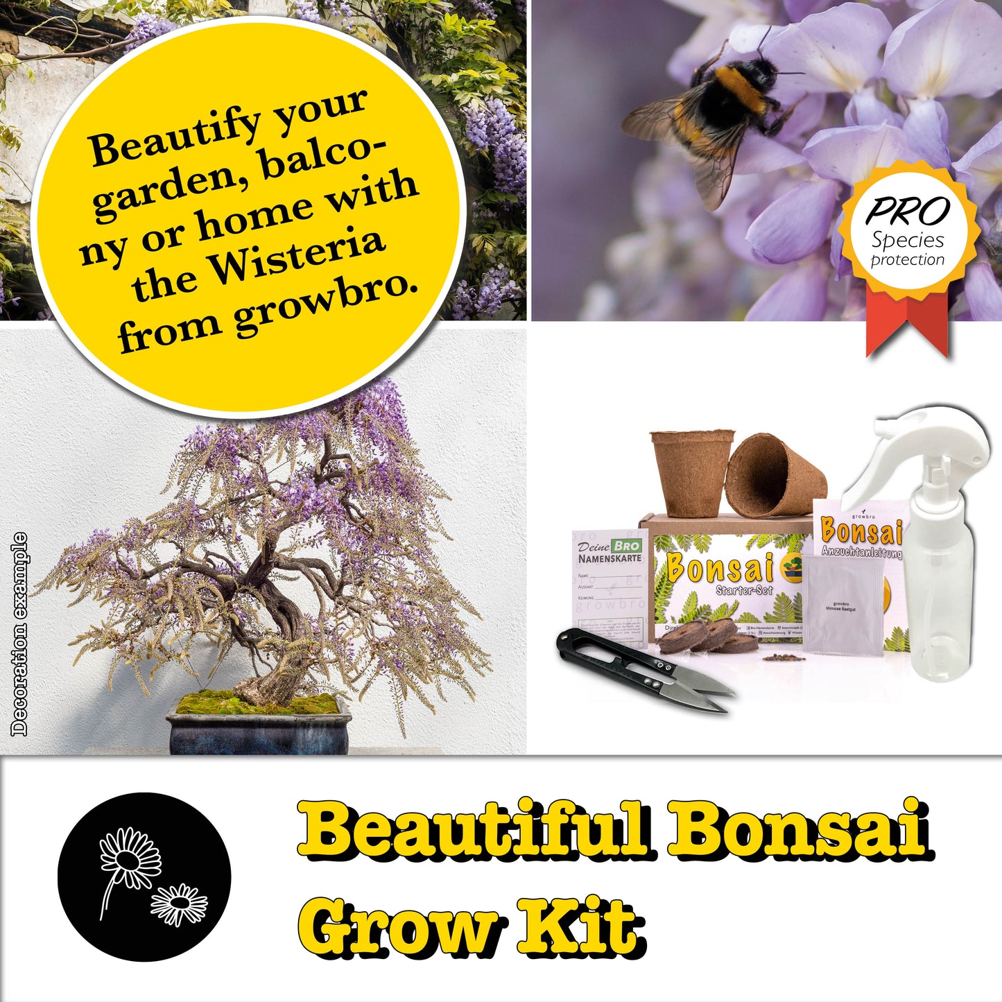 Bonsai - growbro - Wisteria Grow Kit - GROW YOUR OWN BONSAI BRO, gifts for women and men, Bonsai Starter Kit incl. seeds, spray bottle, and much more