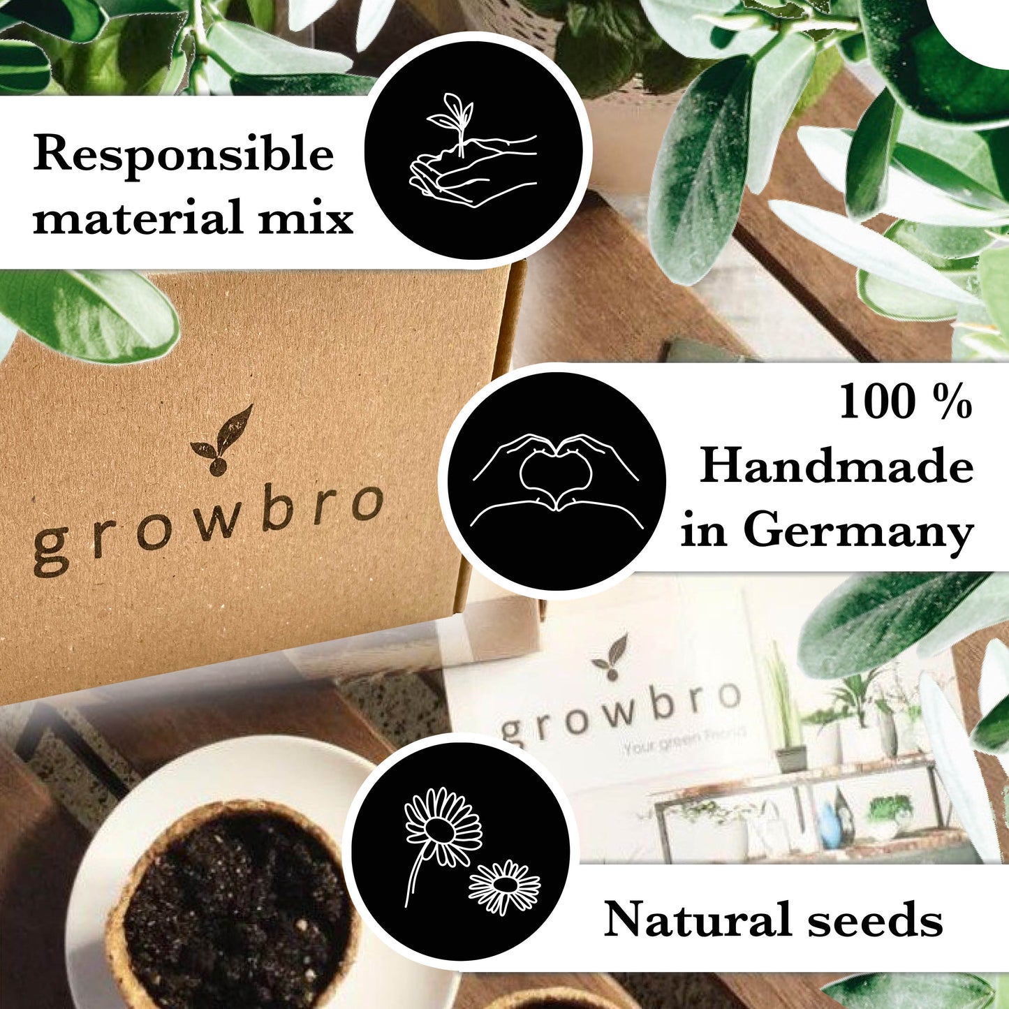 Bonsai - growbro - Wisteria Grow Kit - GROW YOUR OWN BONSAI BRO, gifts for women and men, Bonsai Starter Kit incl. seeds, spray bottle, and much more