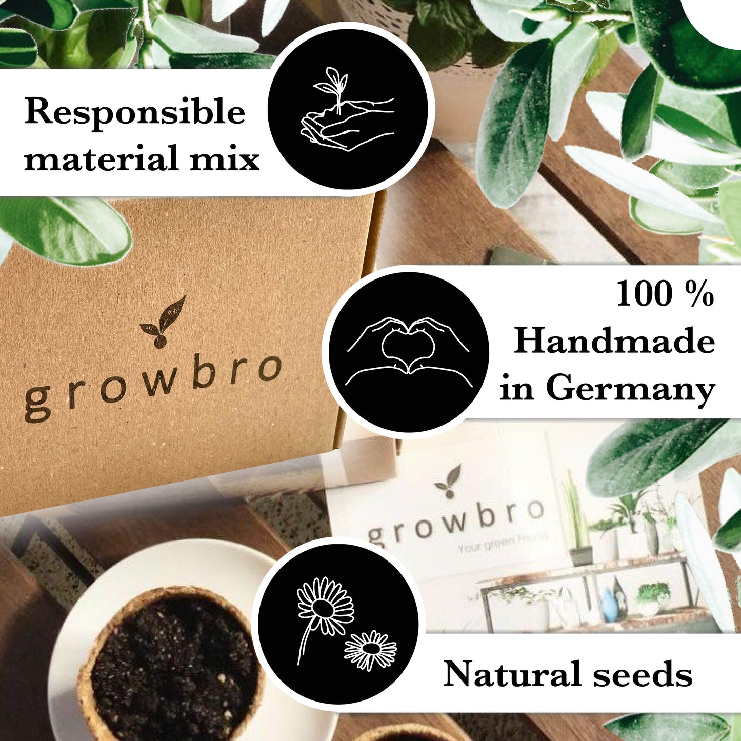 CACTUS growbro GROW KIT incl. spray bottle | birthday gift, succulents, gifts for women & men, cacti seeds, indoor plants, garden gift